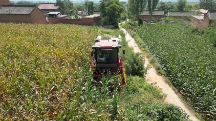 在此雙節假期期間，中聯收獲服務不停歇，秋收保障不打樣，為用戶